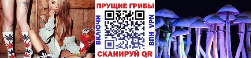 сайты даркнета наркотические препараты  что такое наркотик  Озёры  Псилоцибиновые грибы мицелий 